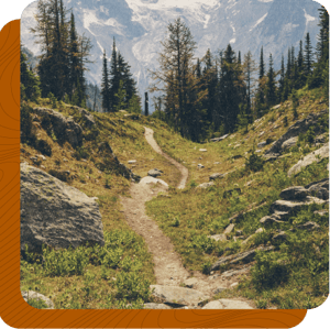 092524_Sierra Pacific_Visa Platinum_HP-1